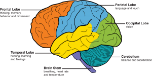 The Experiential System